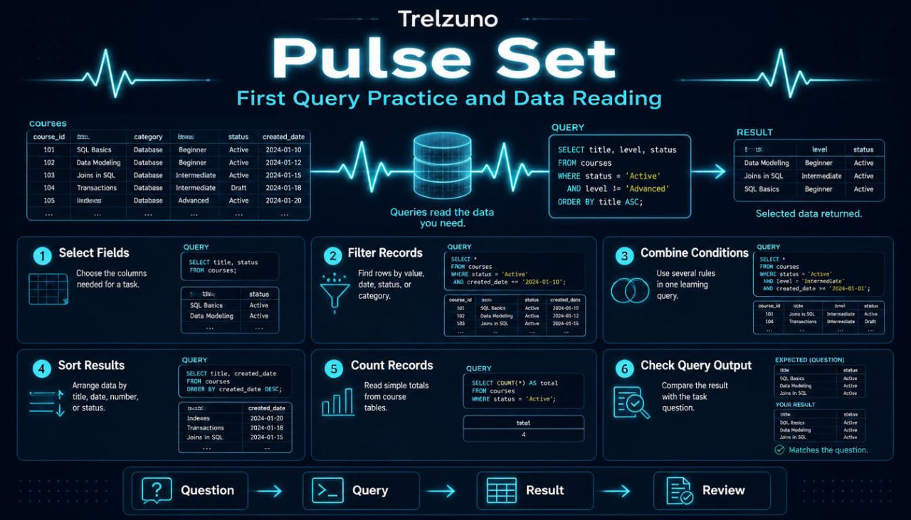 Trelzuno Pulse Set diagram with query practice and data reading features on a dark background